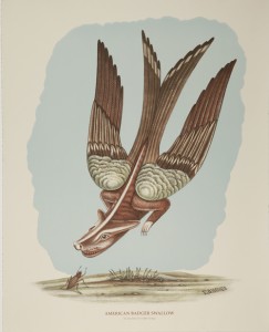 American Badger Swallow web